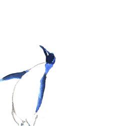 penguin_3